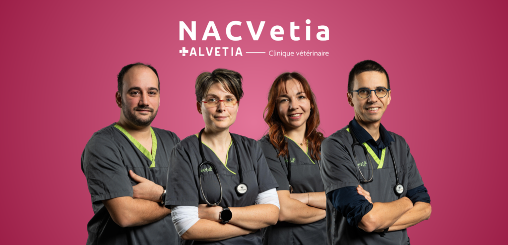 Les 4 vétérinaires du service NAC d'Alvetia, de gauche à droite : DMV B. DASSA, DMV H. DEFLERS, DMV L. ROESER, DMV F. GANDAR