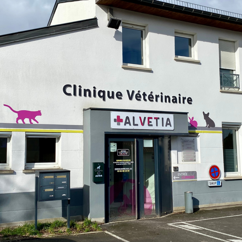Devanture de la clinique vétérinaire Alvetia