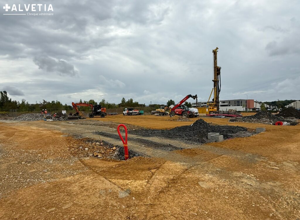 Chantier de la nouvelle Clinique Vétérinaire Alvetia