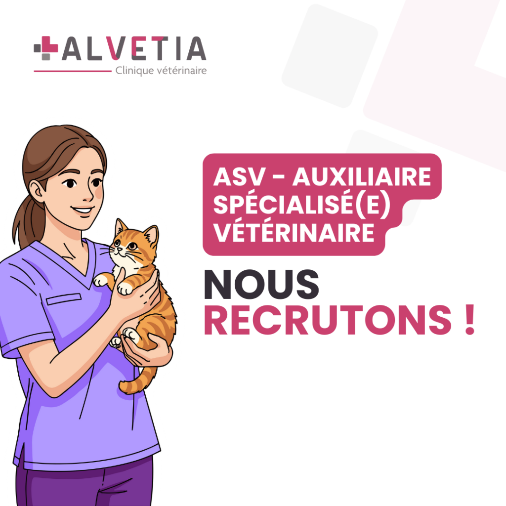 Nous recrutons - Auxiliaire Spécialisé(e) Vétérinaire