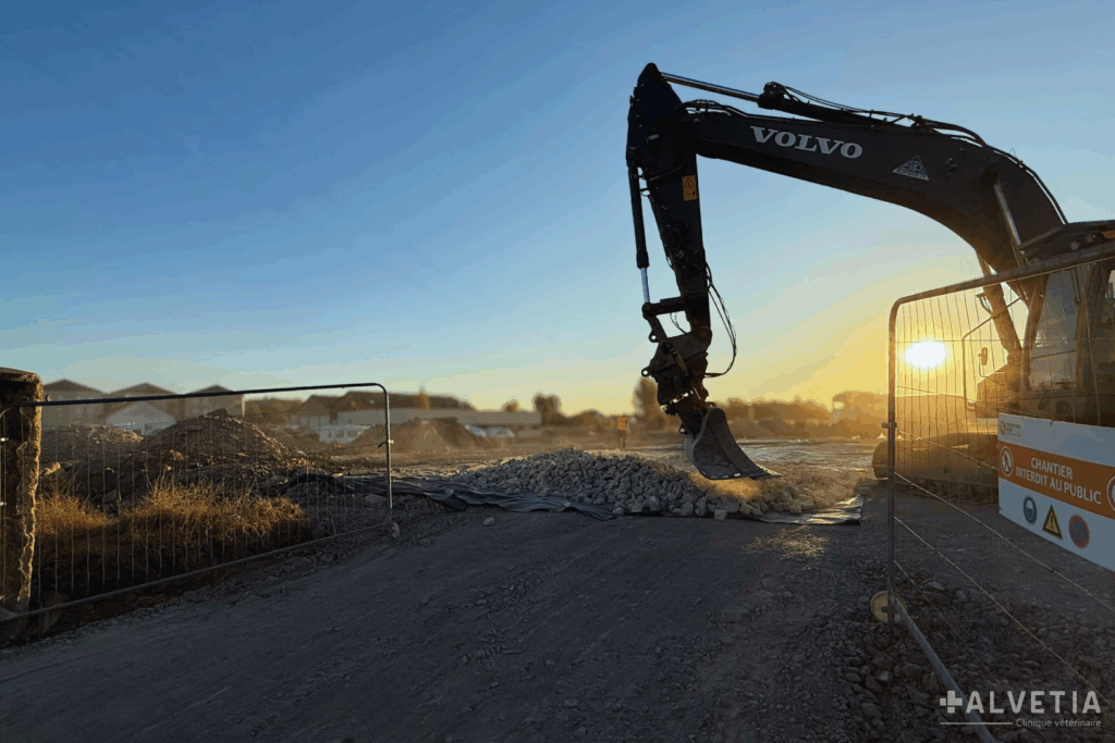 Chantier de la nouvelle clinique vétérinaire Alvetia à Terville