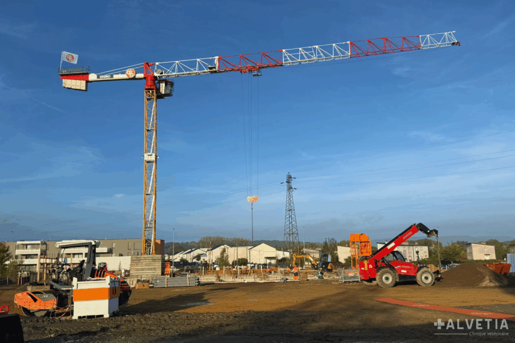 Chantier de la nouvelle clinique vétérinaire Alvetia à Terville