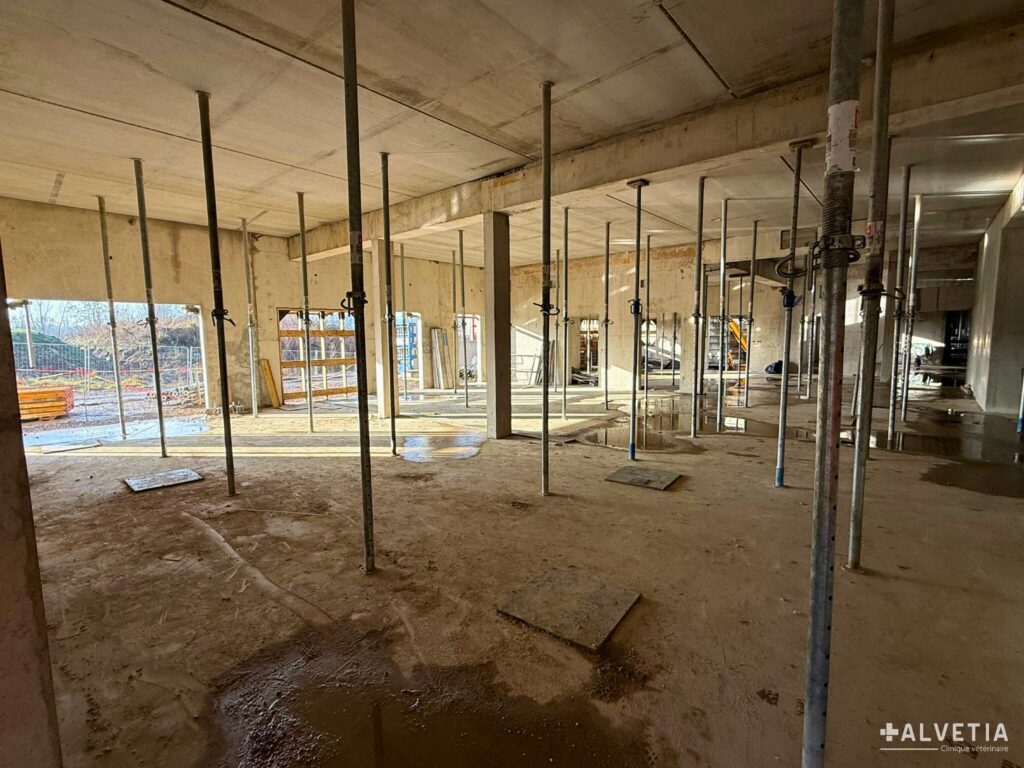 Vue intérieure de la clinique en février 2026