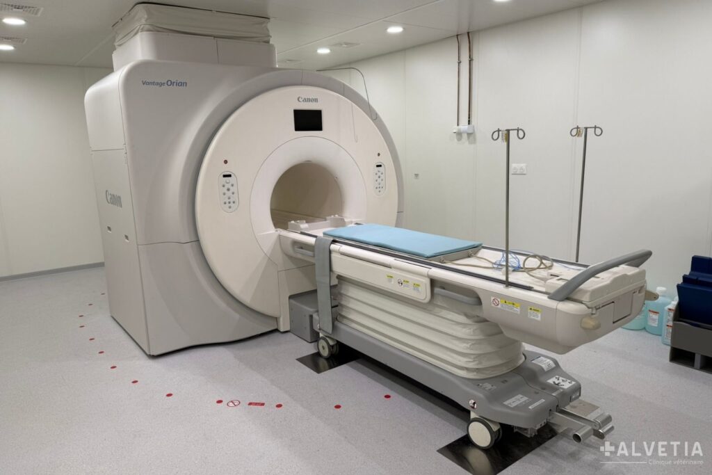 Arrivée de l'IRM à la Clinique Vétérinaire Alvetia