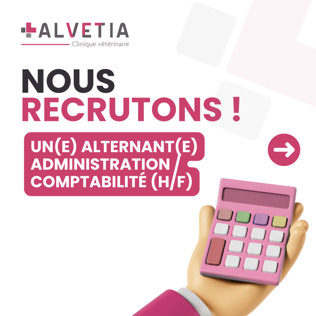 Image d'illustration - Alternant administration comptabilité